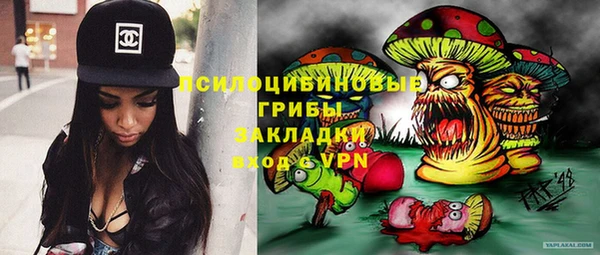 прущий лед Аркадак