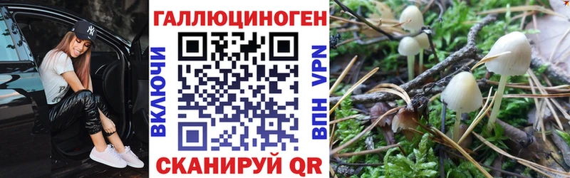 Псилоцибиновые грибы Cubensis  Туринск 